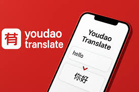 有道翻译的“拍照翻译”支持识别手写签名吗？