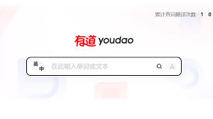 有道翻译支持翻译菲律宾语的商务邮件吗？