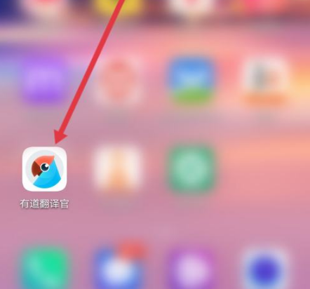 如何在有道翻译中设置“划词后立即朗读”？