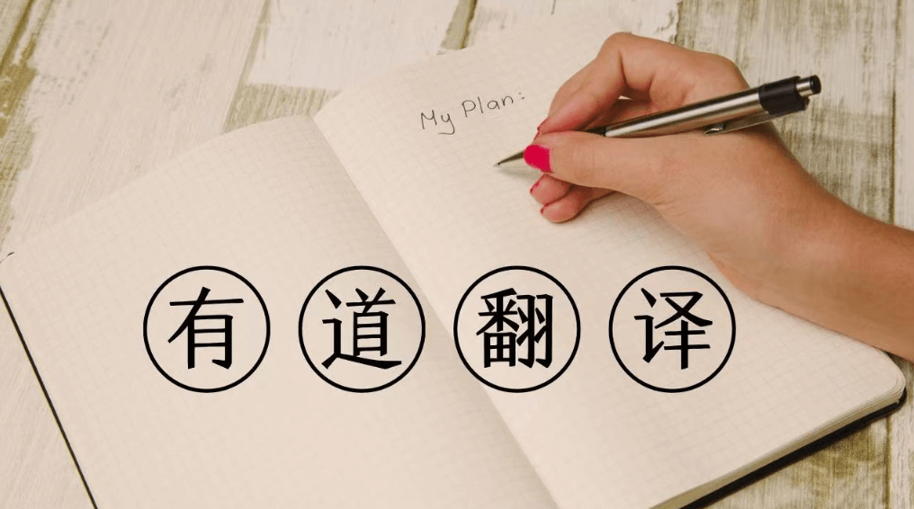 为什么有道翻译是2026年海淘党比价的得力助手？